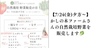 【7/24(金)夕方〜】かしの木ファームさんの自然栽培野菜を販売します🥬