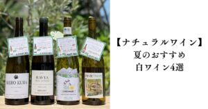 【ナチュラルワイン】夏のおすすめ白ワイン4選　柑橘のニュアンスがいい感じ。